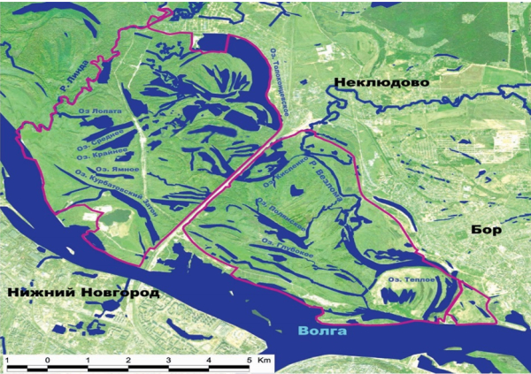 Участие специалиста НижегородНИРО в круглом столе по устойчивому развитию Борской поймы Волги